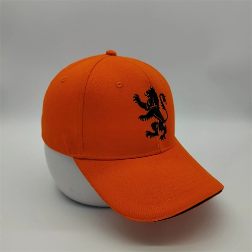 embroidery baseball cap 2
