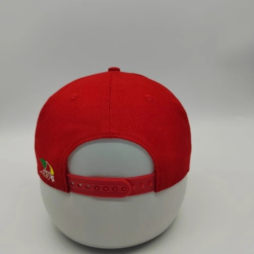 custom-6panels-snapback-hat-4