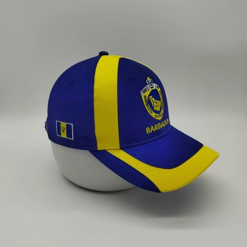customized-flag-pattern-caps-2